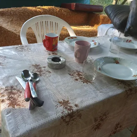 с терасата بيت خشبي *